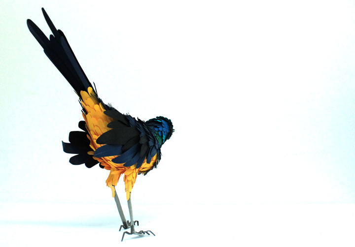 Amazing Colorful Birds Made Entirely Of Paper