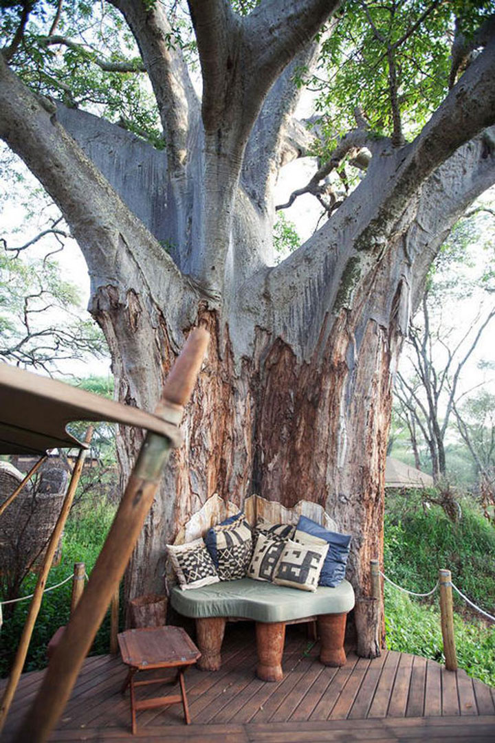 In an alcove perfectly integrated into a tree