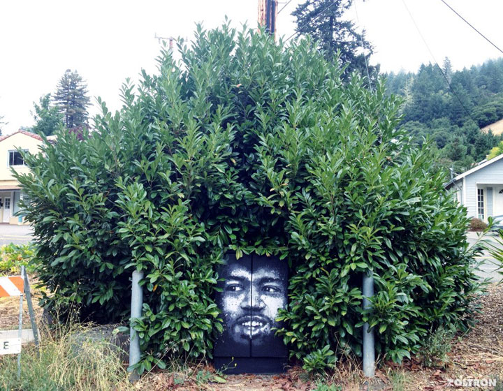 Street Artist Merge Nature With Their Works