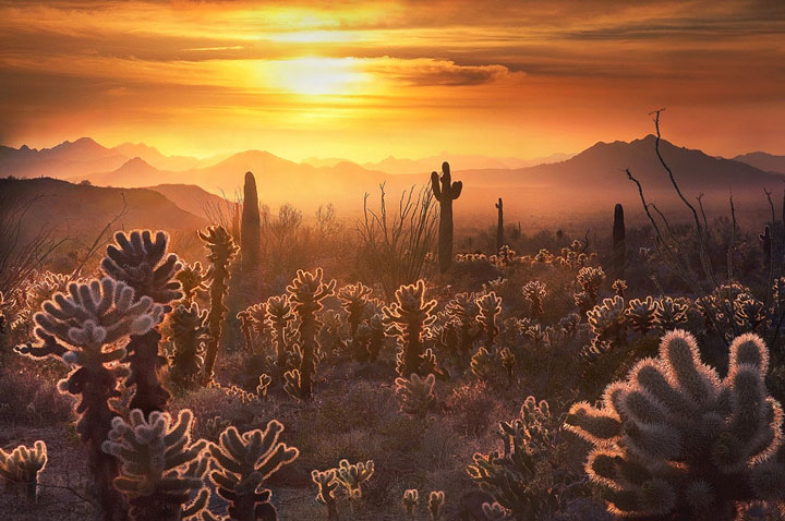 Artist Plays With Light To Immortalize The Stunning Scenery of America