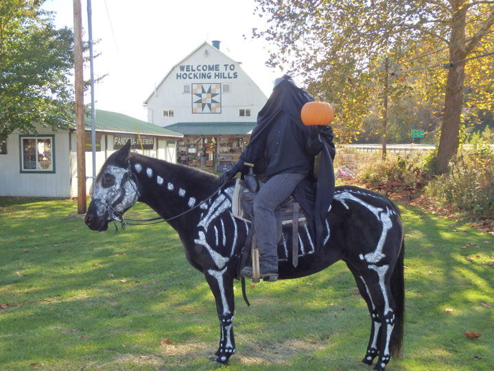  The skeleton death of horse-Amazing Animal Halloowen Disguises