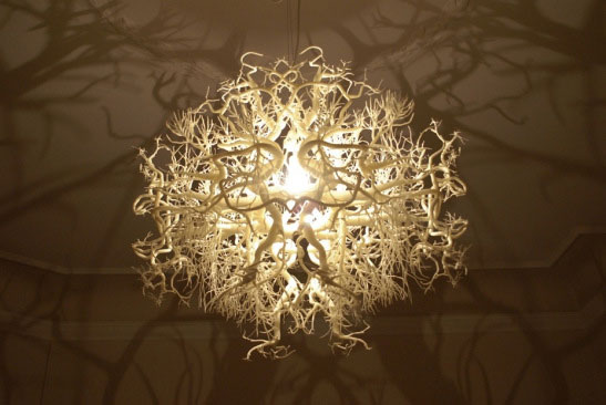 Gorgeous Chandelier Plays With Shadows To Transport You Into A Fascinating Forest