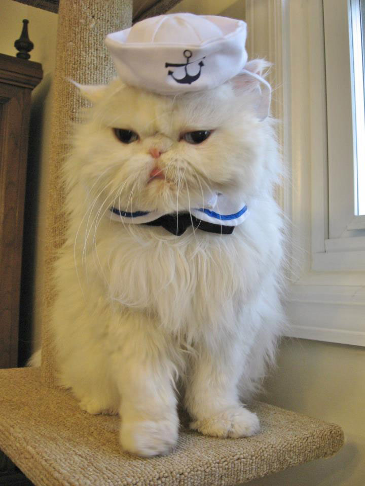 Sexy sailor-Haloowen Disguises