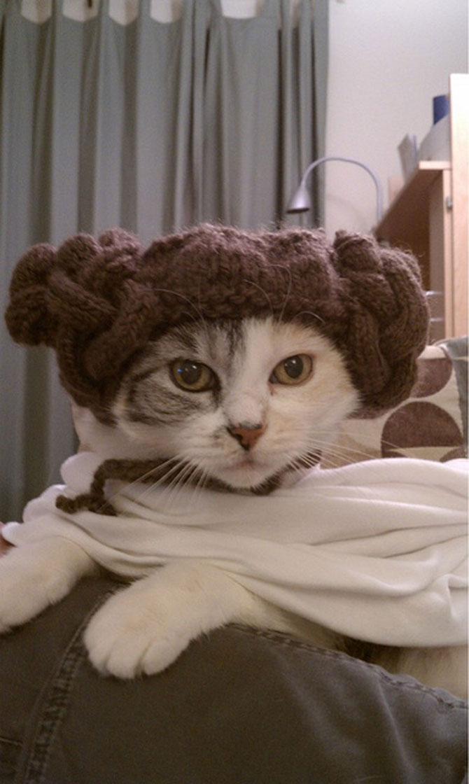 The geek costume of Princess Leia in Star Wars-Haloowen Disguises