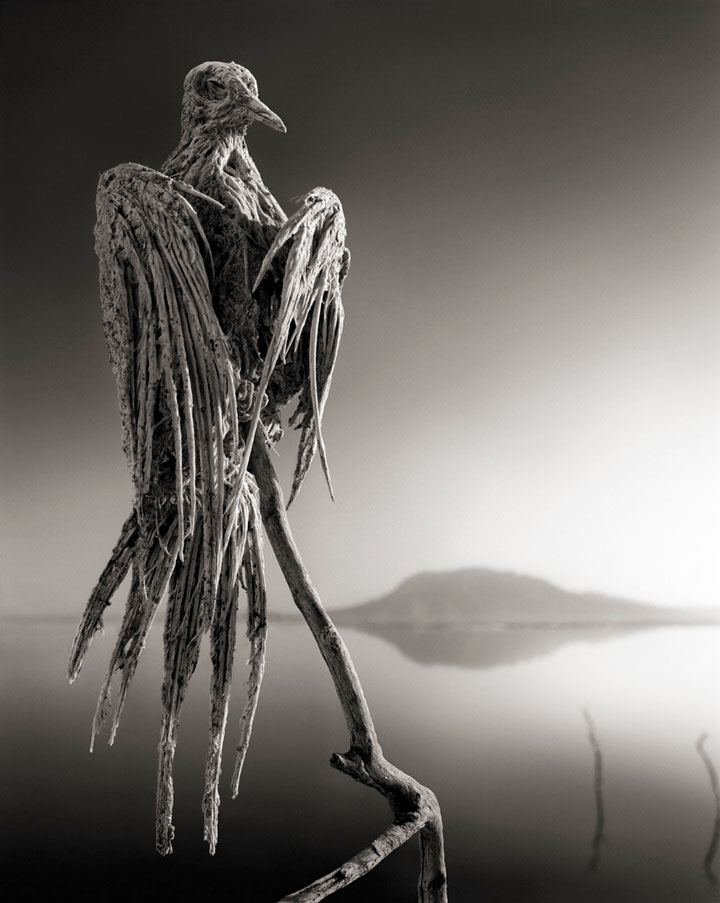 Lake Natron: The Killer Lake That Literally Petrifies The Animals Into Sculptures