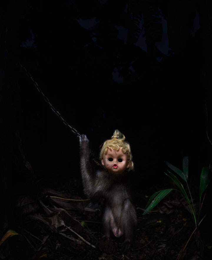 Use Of Monkeys For Forced Begging Denounced By A Series Of Stunning Photographs