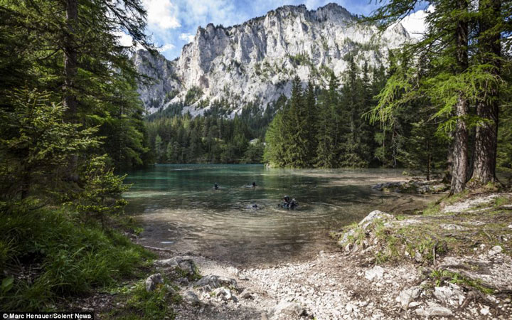  Grüner See-Snowmelt Swallows A beautiful park In The Heart Of The Mountains Each Year