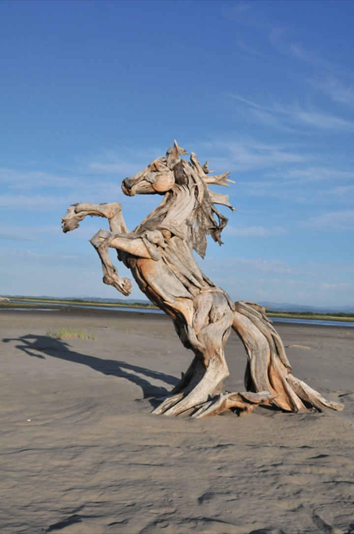 Sea horse-Jeffro makes impressive sculptures made only with wood-1