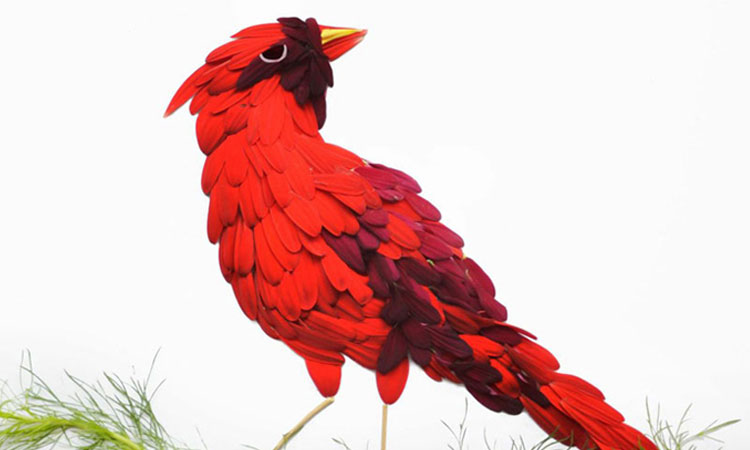 Beautiful Multicolored Birds Made From Hundreds Of Flower Petals-11