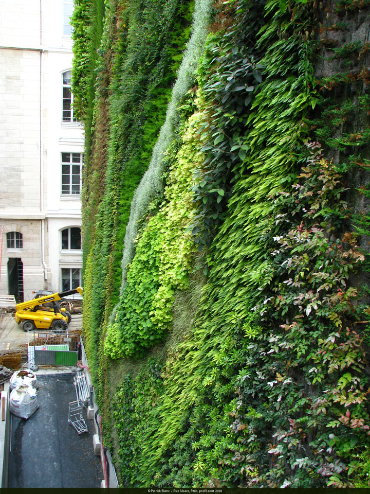 A vertical garden by Patrick Blanc, Rue D'Alsace, Paris, France, 2008