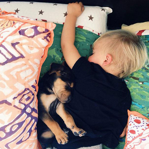 Jessica A stunning Series Of Photograph Immortalizes The Friendship Between A Baby And A Puppy-16