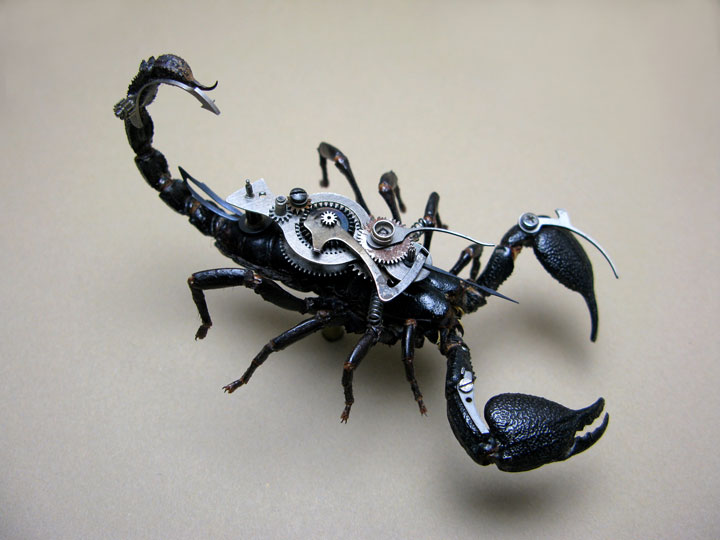 Arachnids-Discover The Impressive Bionic Insects From Insect Labs-8