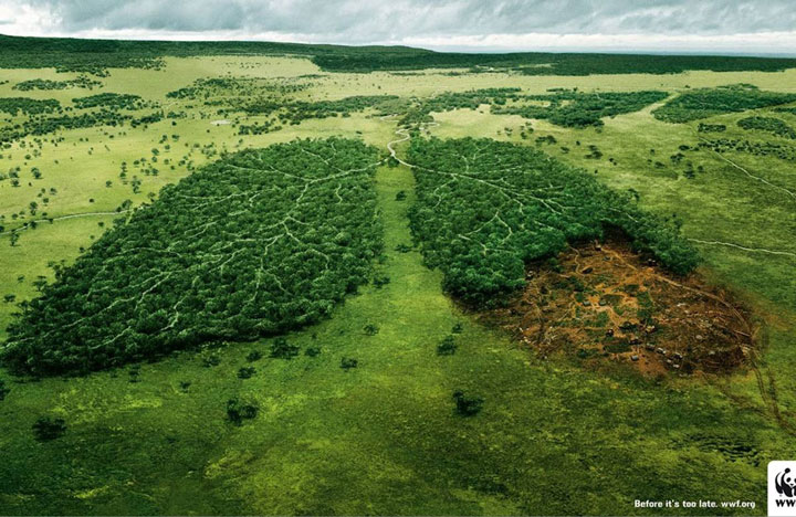 20 Most Striking WWF Posters That Will Motivate You To Fight For The Planet-12