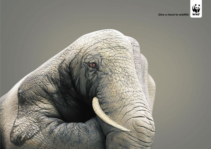 20 Most Striking WWF Posters That Will Motivate You To Fight For The Planet-6