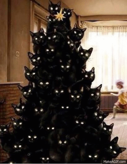 Cats christmas tree-Most Wacky And Non-Traditional Christmas Trees -19