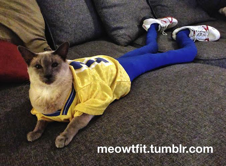 Pet Wearing Tights: New Crazy Fashion On Internet -13