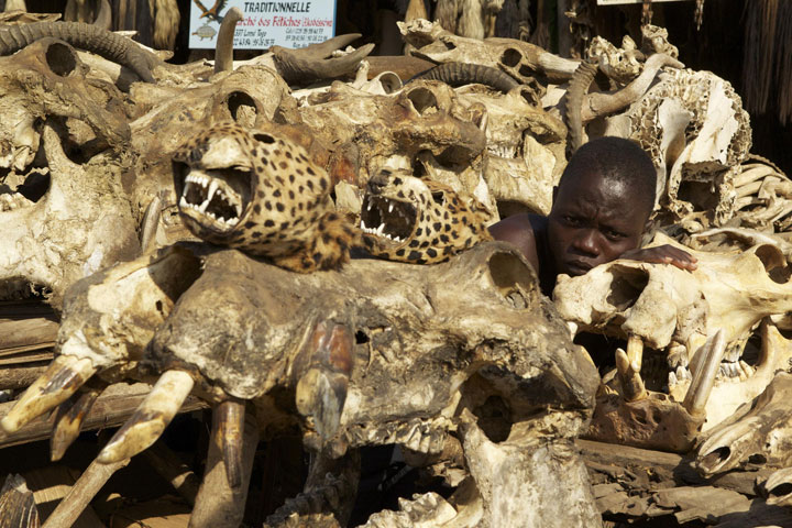 Akodessewa Fetish Market in Togo-The 10 Most Scary Places On The Earth-13
