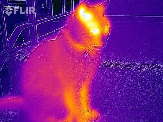 FLIR-1 Brings Thermal Imaging To The Palm Of iPhone Users-2