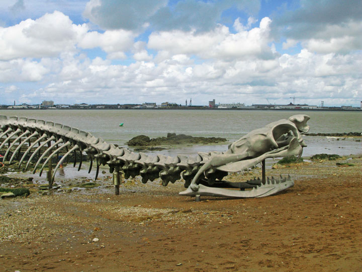 A Giant Aluminium Made Skeleton Of Serpent On the Beach of Loire, France-14