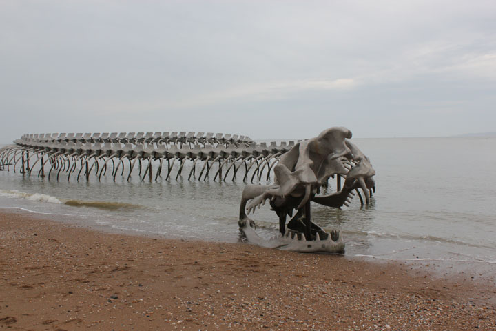 A Giant Aluminium Made Skeleton Of Serpent On the Beach of Loire, France-3