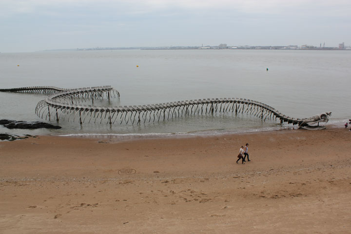 A Giant Aluminium Made Skeleton Of Serpent On the Beach of Loire, France-8