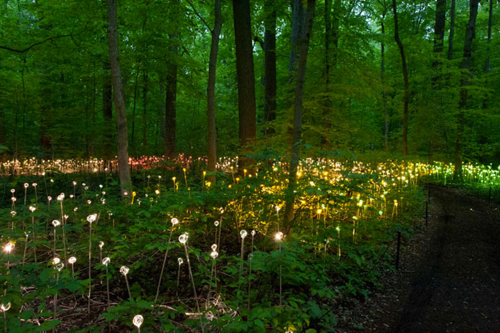 Enjoy A Walk Through The Lavish Garden Lights (Photo Gallery)