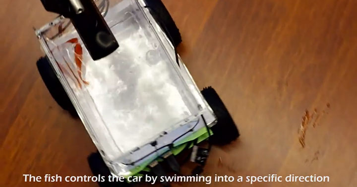 Engineers Invent A Mobile Aquarium Driven By The Movements Of Fish (Video)-4