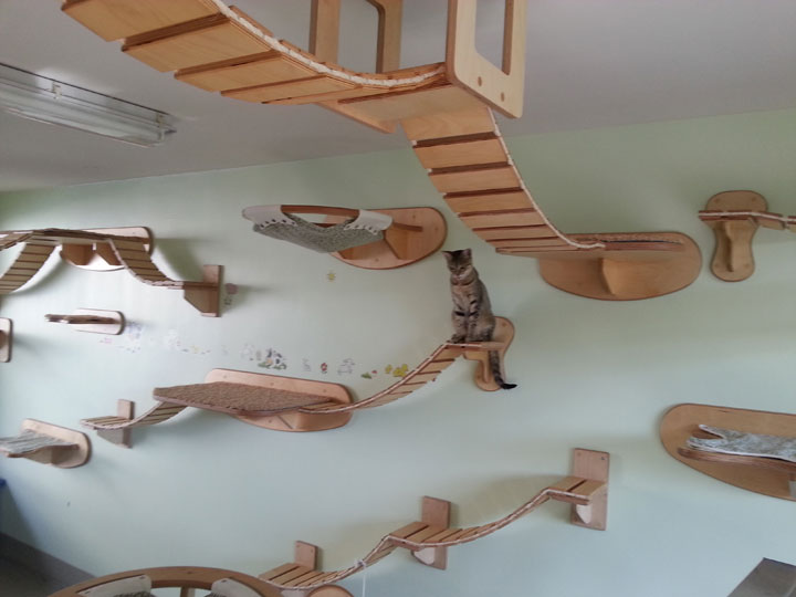 Wall cat furniture-Furniture Designs To Make Your Apartment An Animal paradise-32