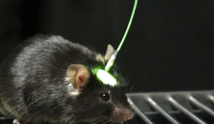Optogenetics-10 Technologies That Can Lead To The Slavery Of Human Race-4