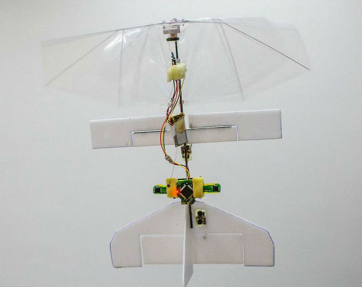 Dutch Scientist Create World smallest Minidrone of the size dragonfly-2
