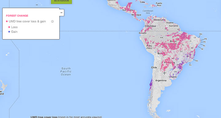 This Interactive World Map Reveals The Massive Deforestation Of Earth In Real Time-1