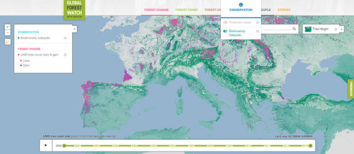 This Interactive World Map Reveals The Massive Deforestation Of Earth In Real Time-5