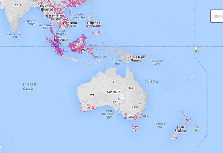 This Interactive World Map Reveals The Massive Deforestation Of Earth In Real Time-9