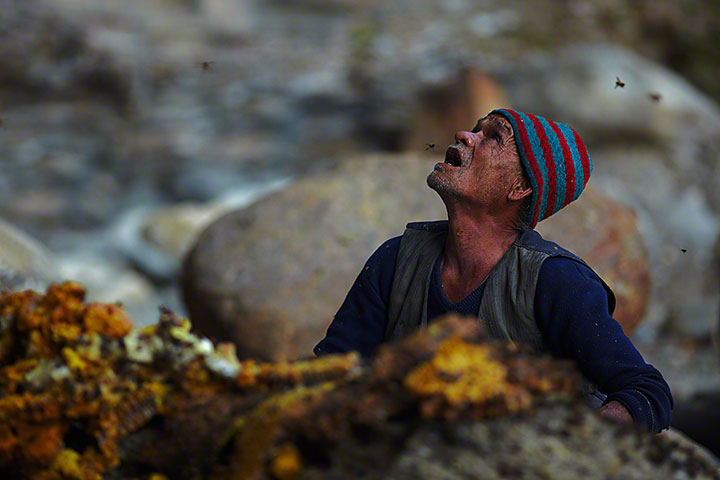 Nepalese Honey Hunter Risk Their Lives On High Cliffs To Feed Their Families -1