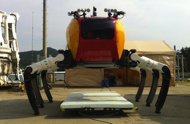 Crabster has lots of expectations
