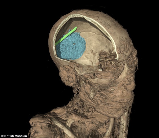 Skull of Mummie