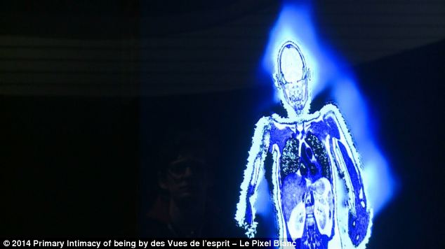 Gender Recognition in 3D mirror