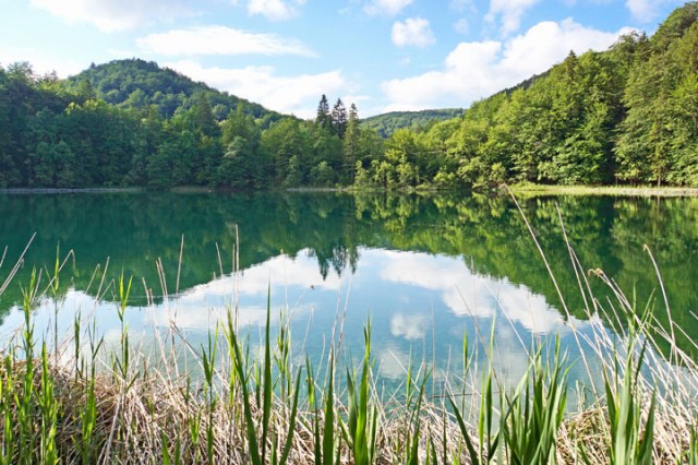 Plitvice -Croatia-Stunning Photographs Reveal The Astounding Beauty Of our planet-3