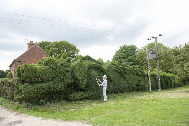 An English Gardener Grows A Giant Dragon In His Garden-