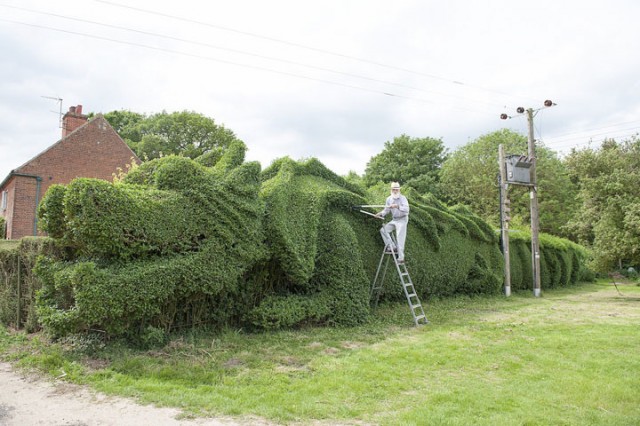 An English Gardener Grows A Giant Dragon In His Garden-3