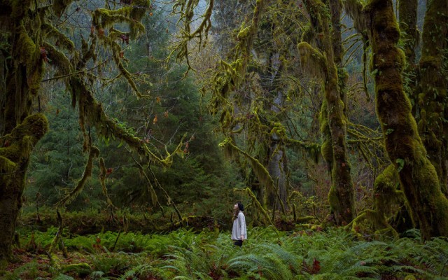 Olympic National Park, Washington -Stunning Photographs From National Geographic Photo Contest 2014-3