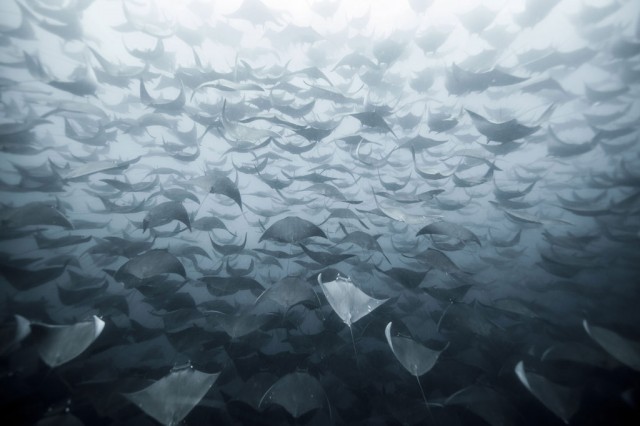 Baja, Mexico-Stunning Photographs From National Geographic Photo Contest 2014-7