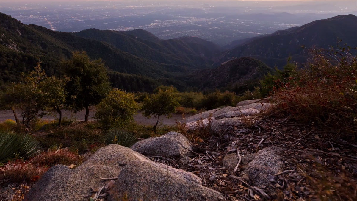 Browse The Heights Of Los Angeles Through This Sublime Video-9