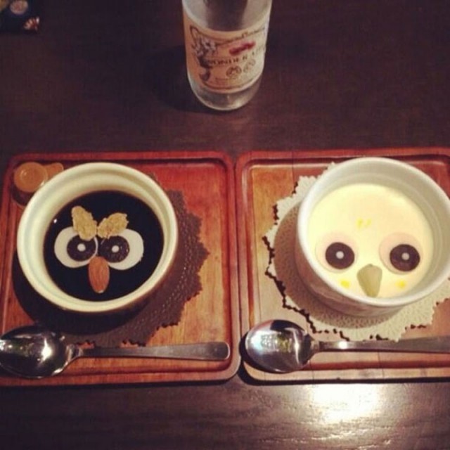 An Unusual Owl Bar Where You can Drink Coffee While Cuddling Owls-4