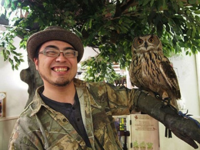 An Unusual Owl Bar Where You can Drink Coffee While Cuddling Owls-6