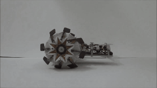 Seoul's robot