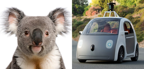 10 Things The New Google Driverless Car May Look Like-
