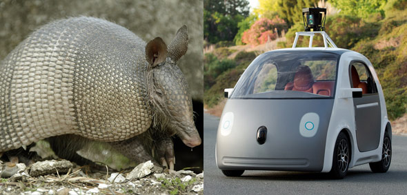 10 Things The New Google Driverless Car May Look Like-8
