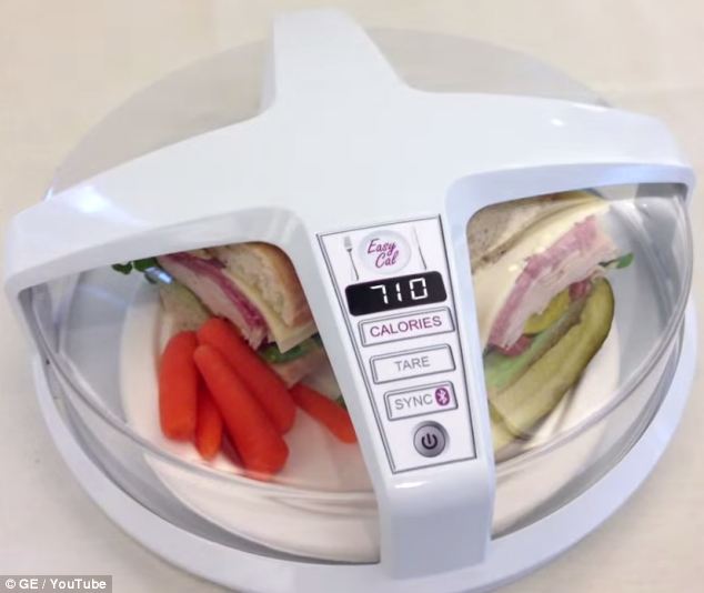 calorie calculator