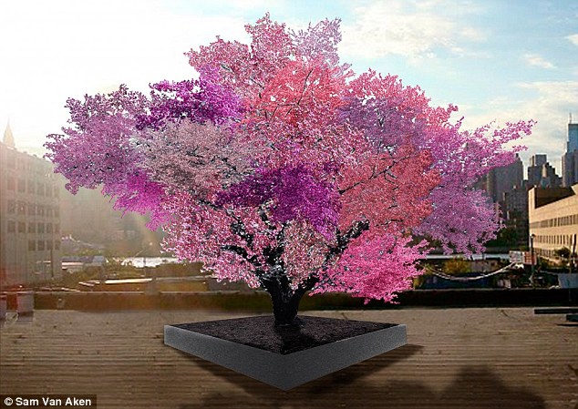 magical tree